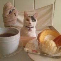 英会話 lls New Zealand Cafe （llsニュージーランド カフェ 大名）