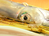 やぶれかぶれ　大橋別館