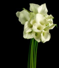 スイッチ　フラワースクール