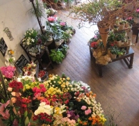 フォレスト・デ・フロリスト（生花小売、イベント装花、フラワースクール）