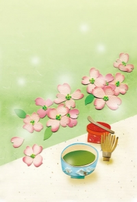 スタジオ スパロウimage1