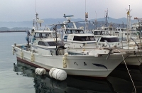 遊漁船寿丸岐志漁港・寿丸image1