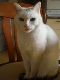 BM Walking31号通り店