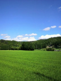 みのり保育園＆野外保育みのり村image1