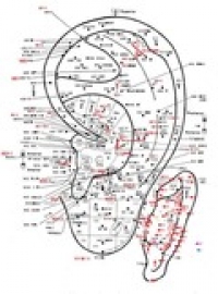 七星スパルタ鍼灸院